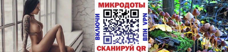 Псилоцибиновые грибы ЛСД Кодинск
